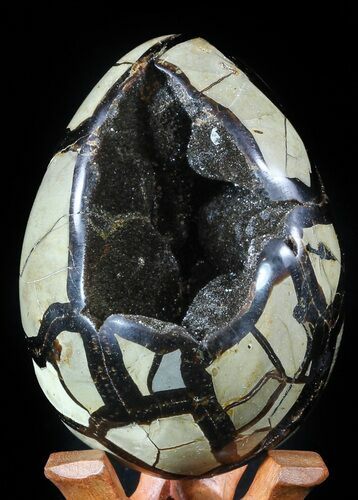 Septarian Dragon Egg Geode - Black Crystals #55714